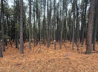 76 San Juan Dr, Angel Fire, NM 87710