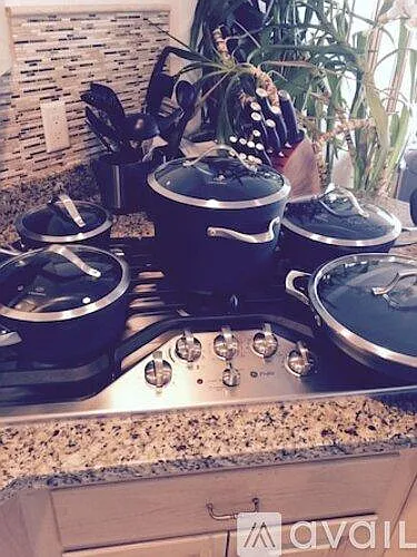 Furnished pots/pans and anything else you need to cook