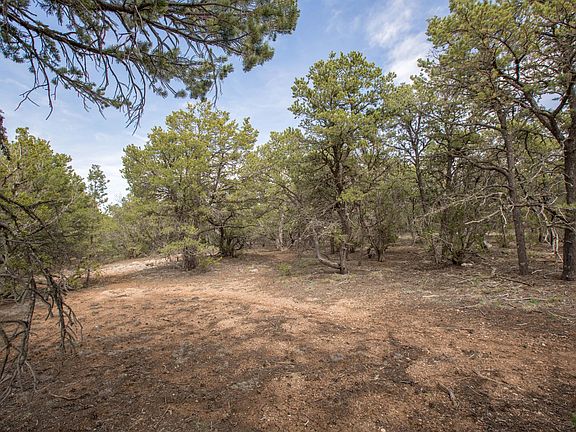 3rd image of 63 Nature Pointe Dr