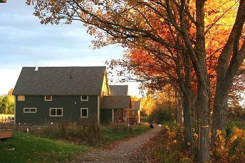 Autumn splendor down a wooded path