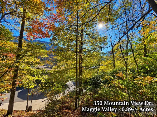350 Mountain View Dr, Maggie Valley, NC 28751