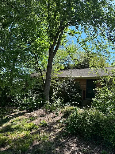8033 Devlin Rd Photo 1