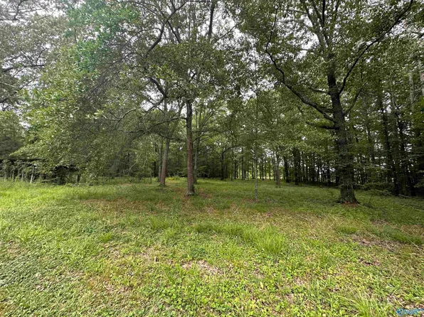 LOT 27 Lasalle St, Rainbow City, AL 35906