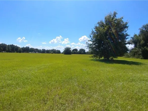 Keene Rd, Umatilla, FL 32784