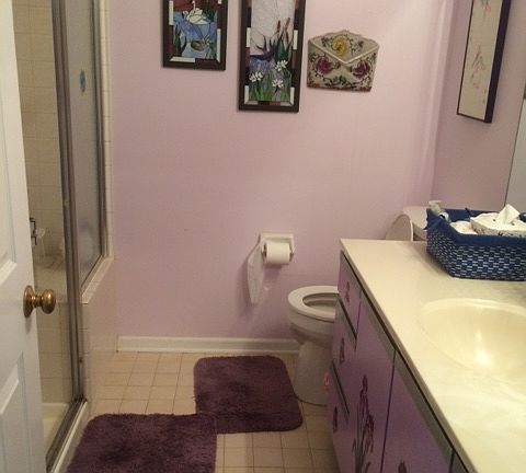 Guest Bath Walk In Shower
