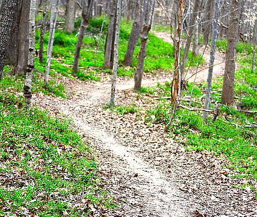 Magical private trails