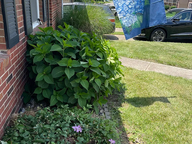 4121 Victoria Way — Photo 23
