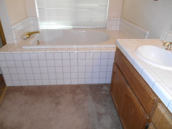 Jacuzzi Style Tub