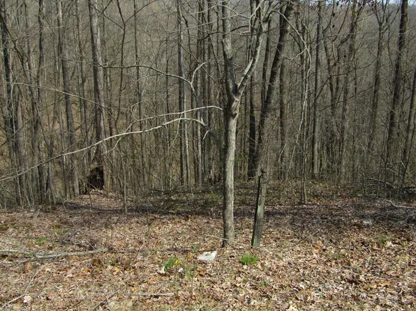 28 Hunter's Landing Ln, Smithville, TN 37166
