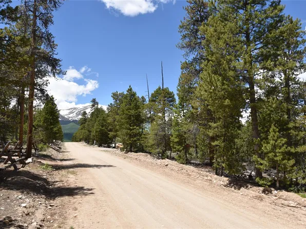 719 Peak View Dr, Twin Lakes, CO 81251