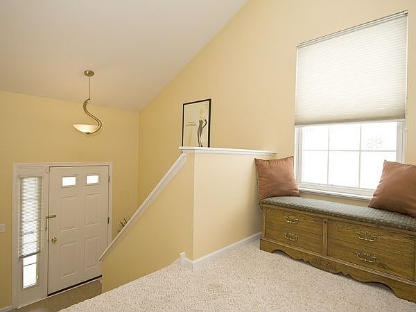 Foyer and Entry Way