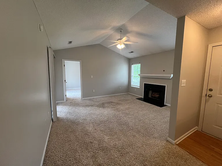 219 Woodruff Park Ln — Photo 4