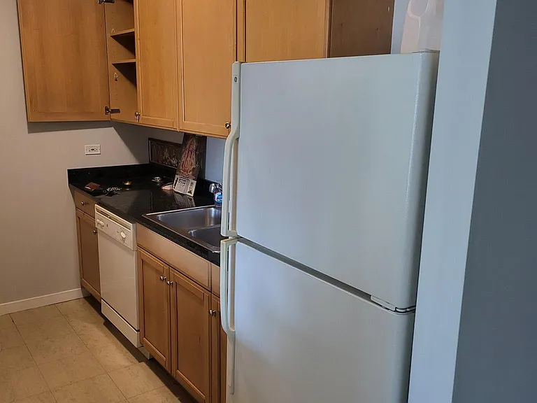 400 N Lasalle St #2803 — Photo 11