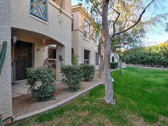 Backyard maintained by the HOA
