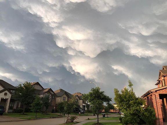 It's always Beautiful in Katy Oaks!