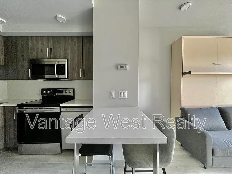 Studio, 1.0 bath, 313 sqft, $1,325 — Photo 3