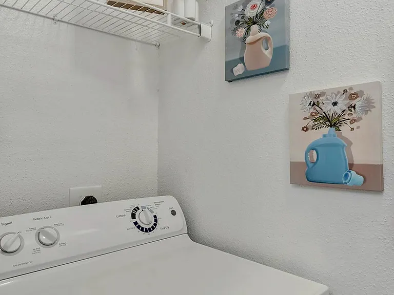 Driscoll Place | Houston, TX | In-unit Dryer