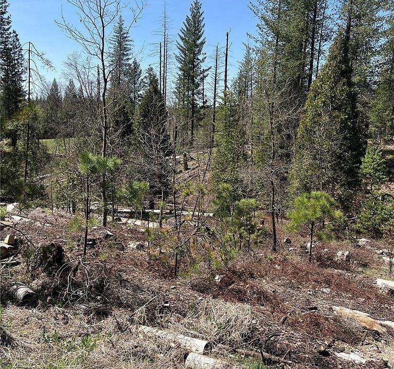 6493 Greeley Hill Rd Coulterville CA Zillow