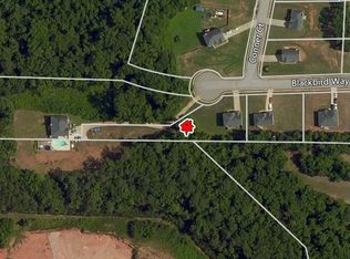 2939 Blackbird Way, Hampton, GA 30228