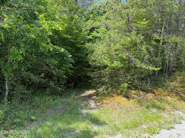 0 Mountain Shores Rd, Tazewell, TN 37879