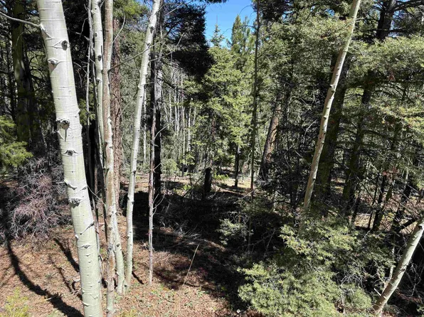 LOT 716 Santo Domingo Trl, Angel Fire, NM 87710