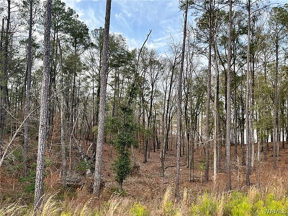 2nd image of LOT 50 Highpoint Cv