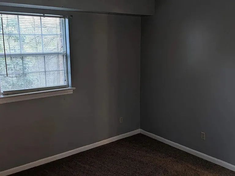 910 Rhue Haus Ln #B — Photo 11