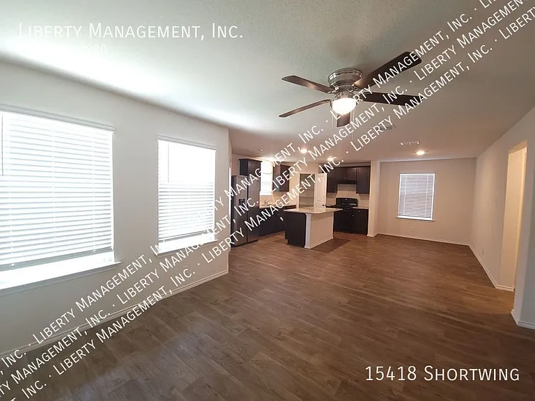 15418 Shortwing — Photo 6