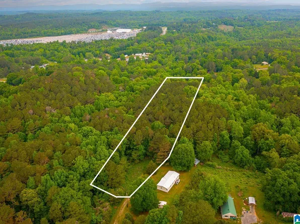 0 Spunky Hollow Rd #1, Trafford, AL 35172