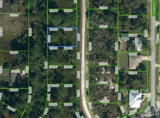 523 Rockefeller Ave, Lake Placid, FL 33852