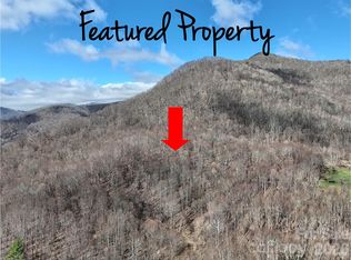 0 Neds Branch Rd, Waynesville, NC 28785