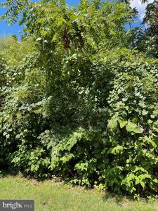 1350 Fishing Creek Rd, Annapolis, MD, 21403