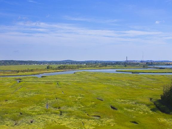 Marsh Views