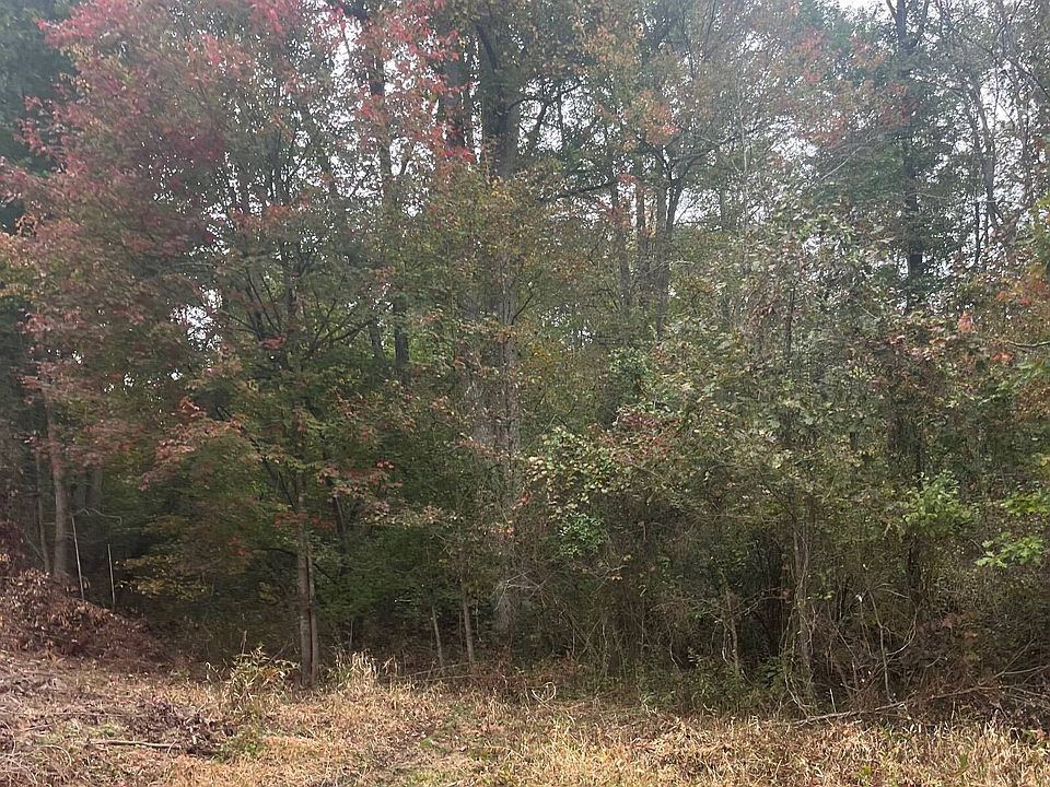 2nd image of 0 Big Rock Rd