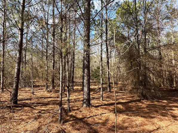 63-003A Four Points Rd W, Keysville, GA 30816