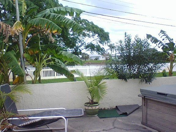 Spa patio with palms