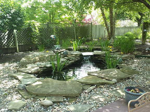 Backyard Oasis