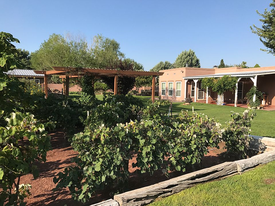 Lush peaceful - vineyard