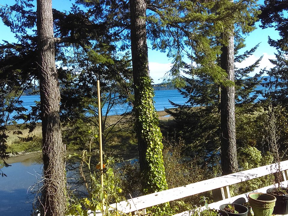 Willapa Bay from back deck 