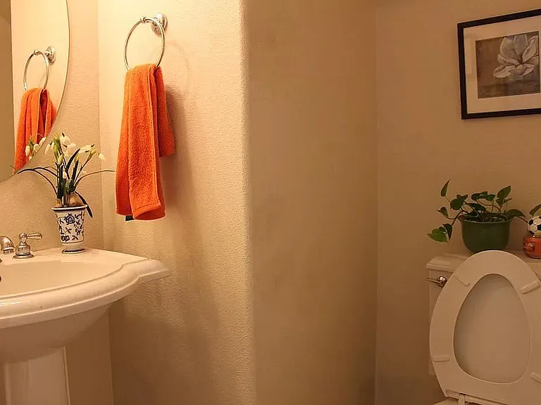 downstairs 1/2 bathroom