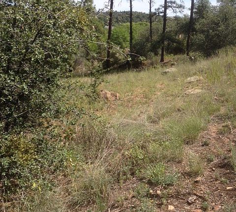 2nd image of 605 N Bagby Dr