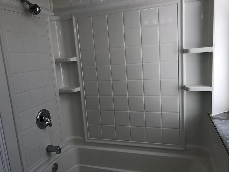 shower in full bath