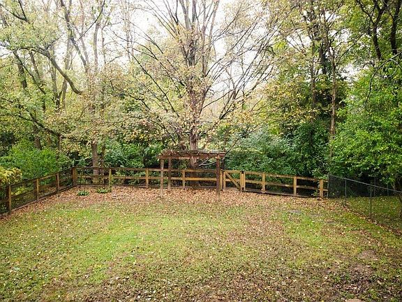 Back yard from the house