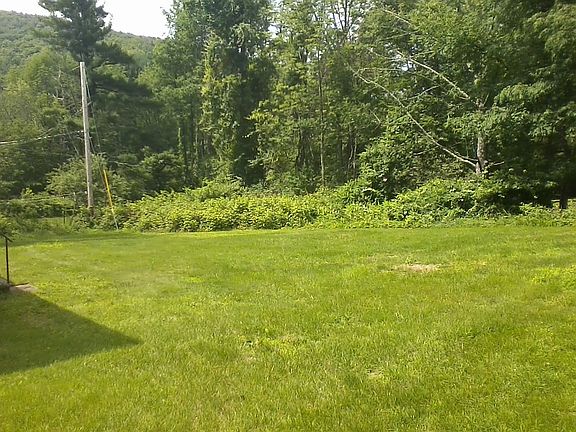 Back yard view.