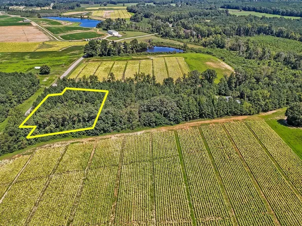 0 Bray Rd #1 & 2, Bailey, NC 27807