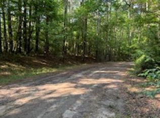 310 Dolphin Dr, Hemphill, TX 75948