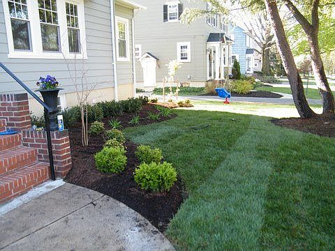 Landscaping