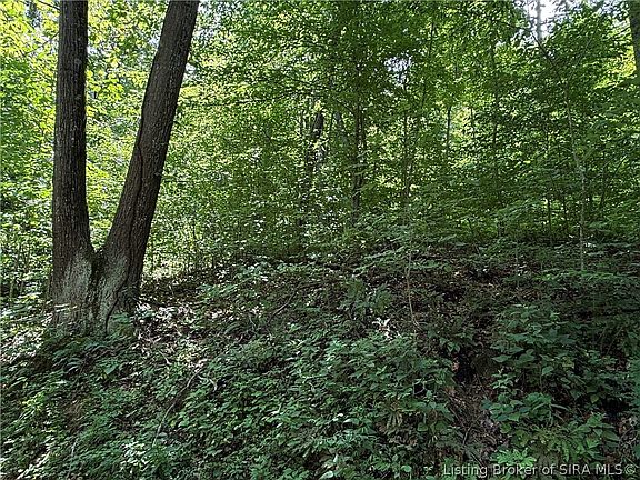 3rd image of  W Wheeler Hollow Road