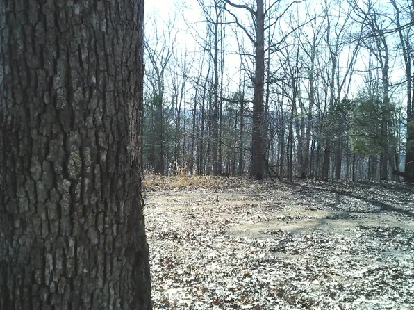 0 Eaglet Ct Lot 213, Dover, TN 37058