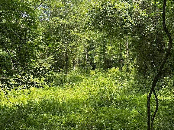 4th image of 0 Thorngrove Pike